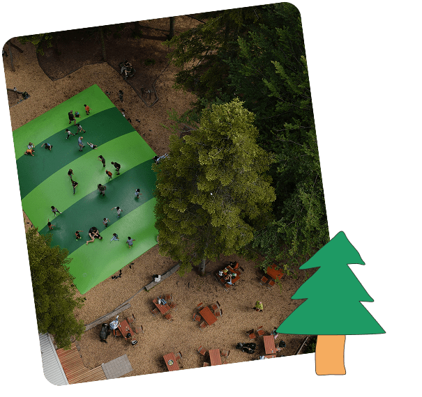 pinos y naturaleza en cantabria