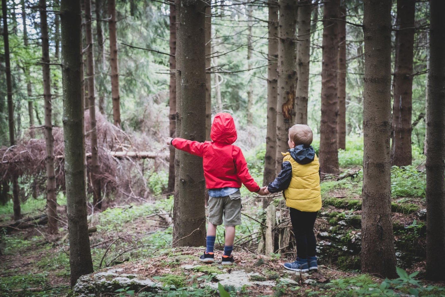 Niños en campamento de naturaleza en Cantabria
