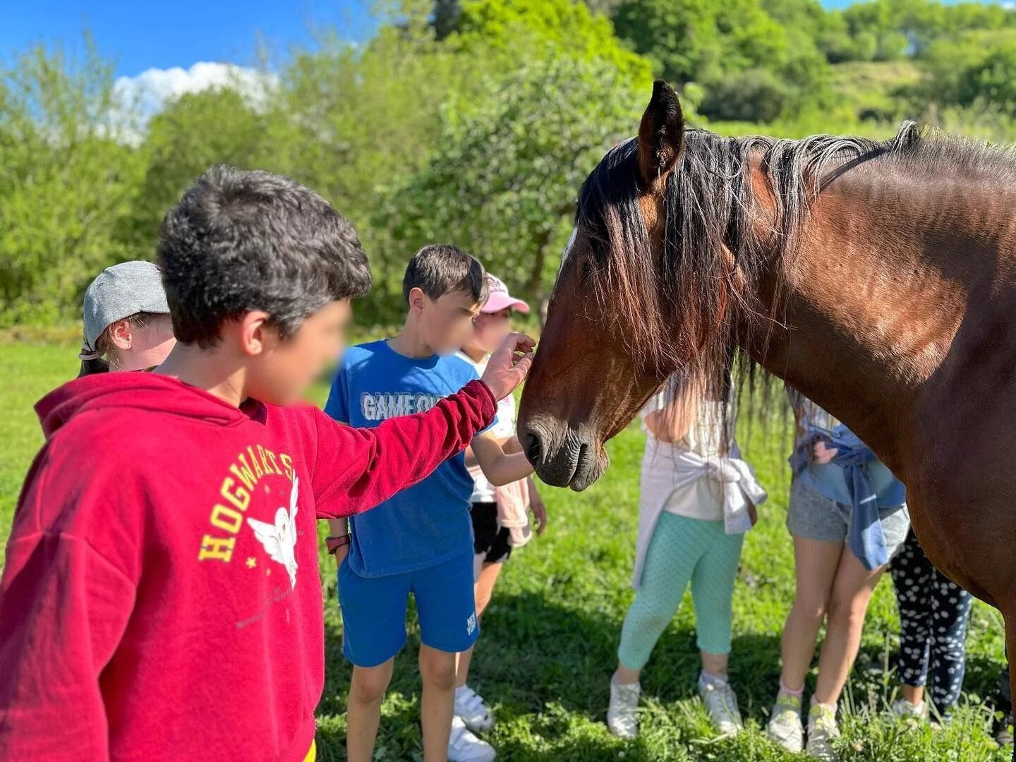 Grupo de ninos en campamento rural Cantabria