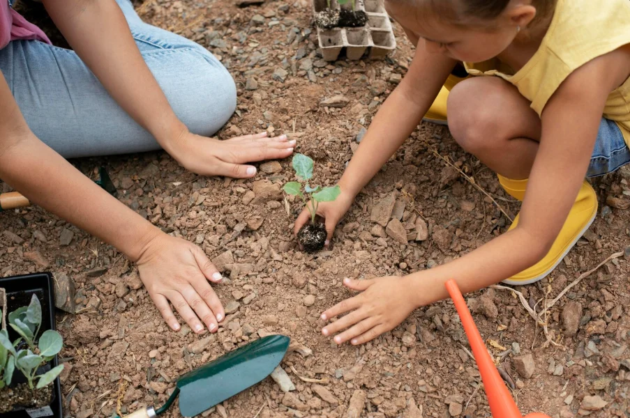 detox digital infantil