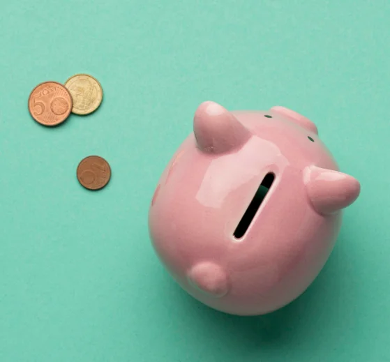 precio campamento anticipado