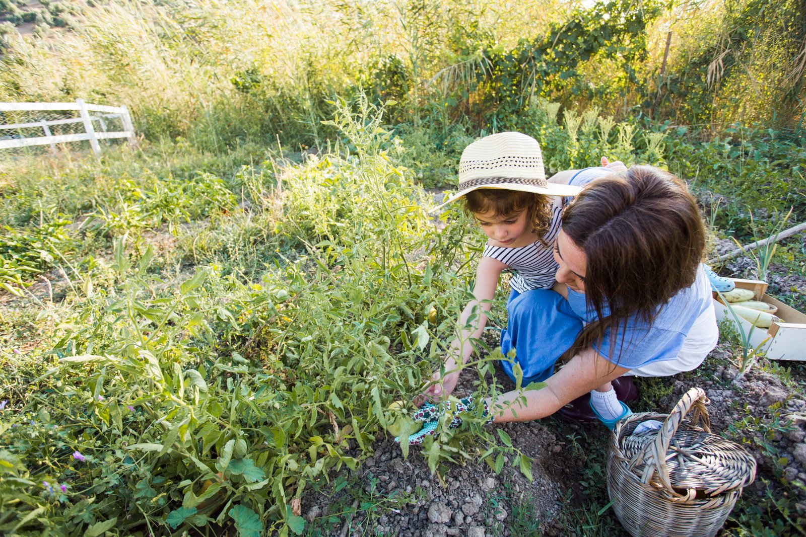 campamento según personalidad niño