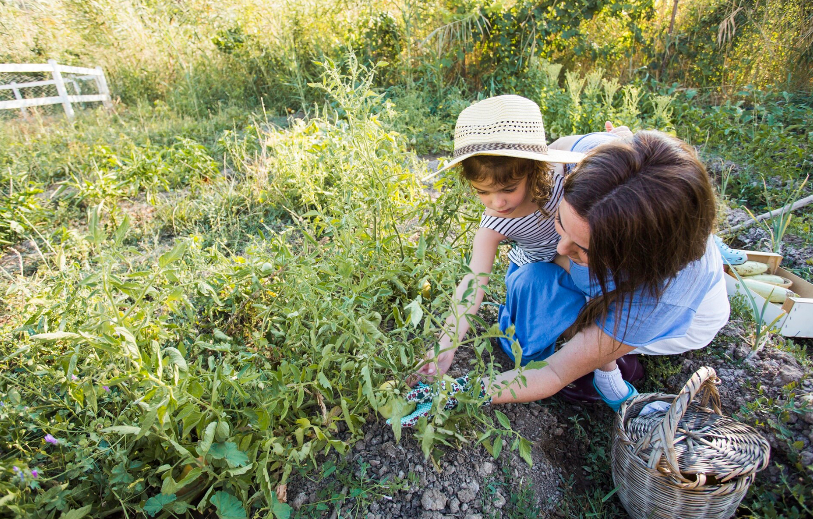 vida rural niños