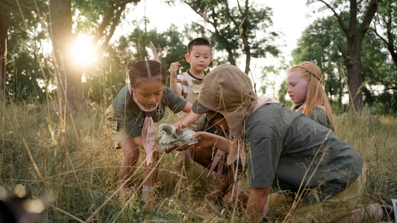 Niños explorando la naturaleza en un campamento al aire libre